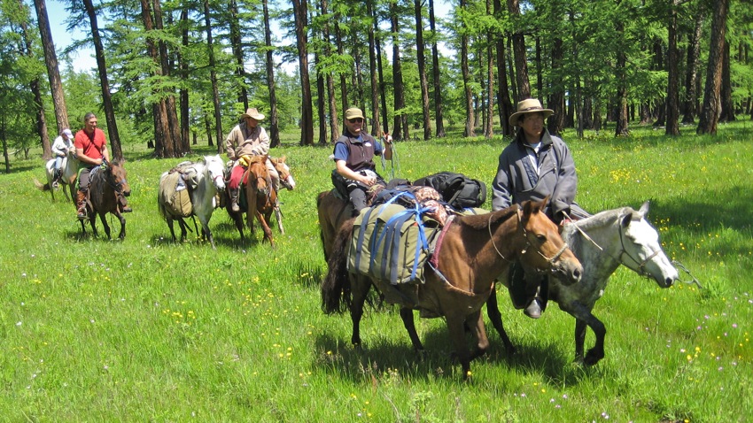 Beauty of Northern Mongolia 